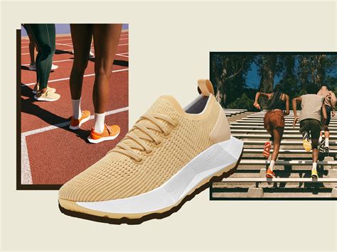 fake allbirds shoes|allbirds running shoes.